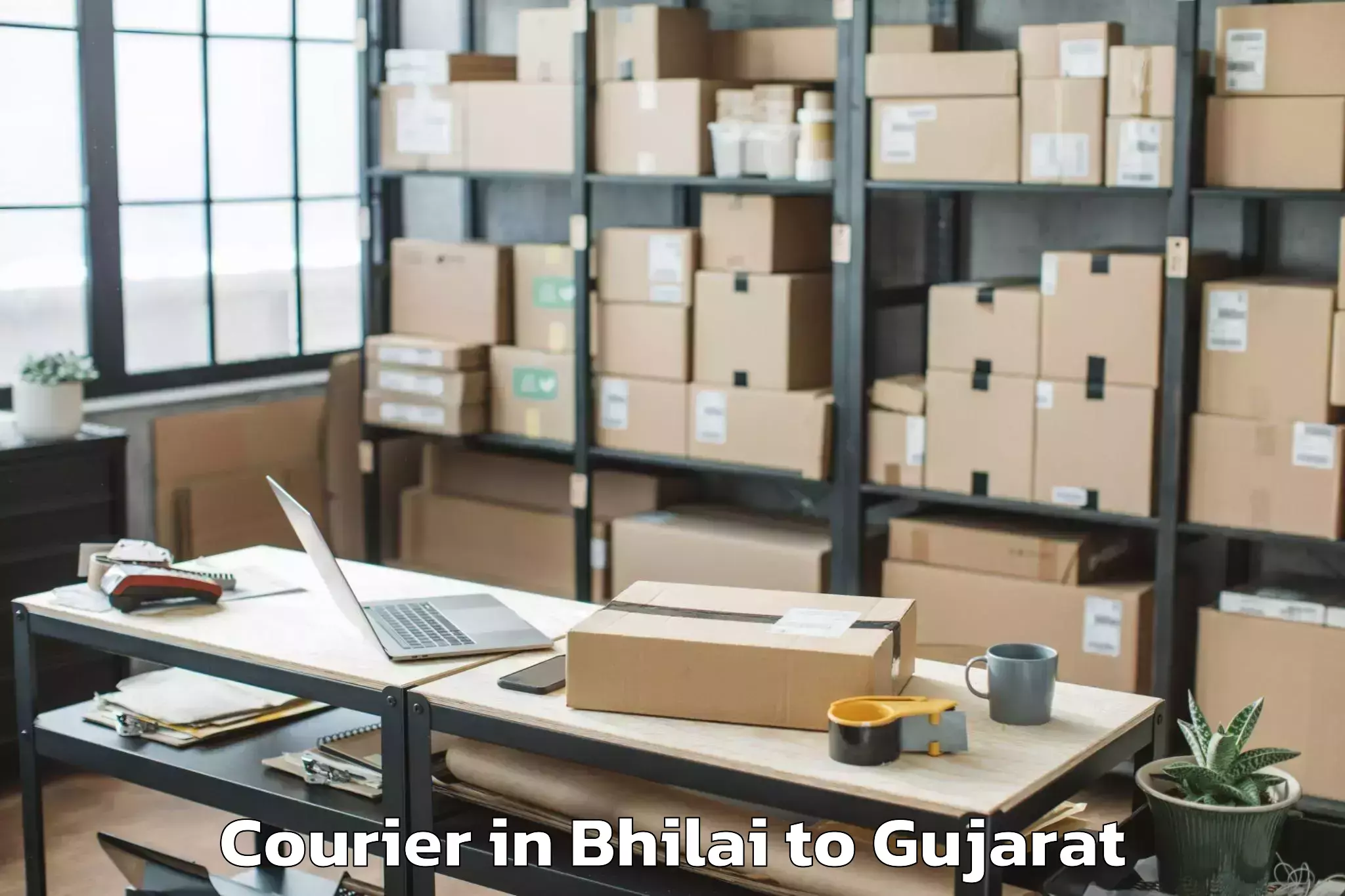 Book Bhilai to Kadi Sarva Vishwavidyalaya Gan Courier Online